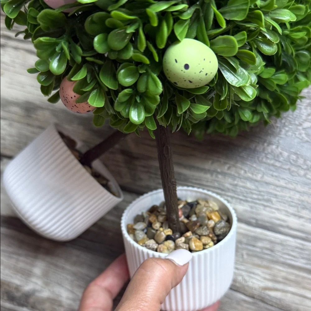 Green Topiary Plants trees Bundle 4 in White Eggs
